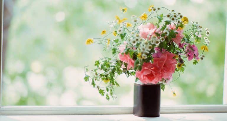 CareDoula® Free End-of-Life Doula Training